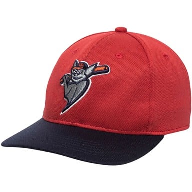 Outdoor Cap Co Team MiLB MIN-350 Baseball Caps                                                                                  