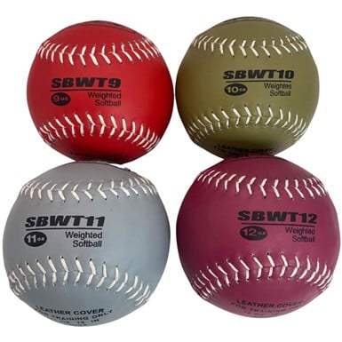 Markwort 12in Weighted Ball Set of 4                                                                                            