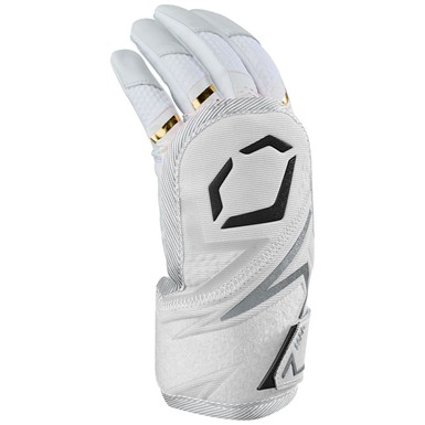 Evoshield PRO-SRZ 3.0 Hand Guard