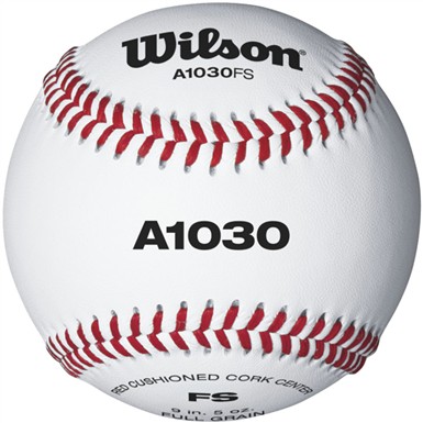 Wilson A1030 Youth Baseballs
