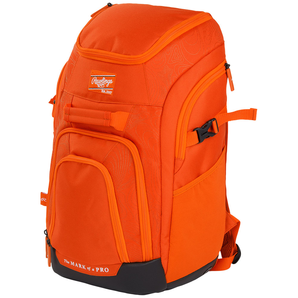 Rawlings Franchise 2 Series Bat Pack
