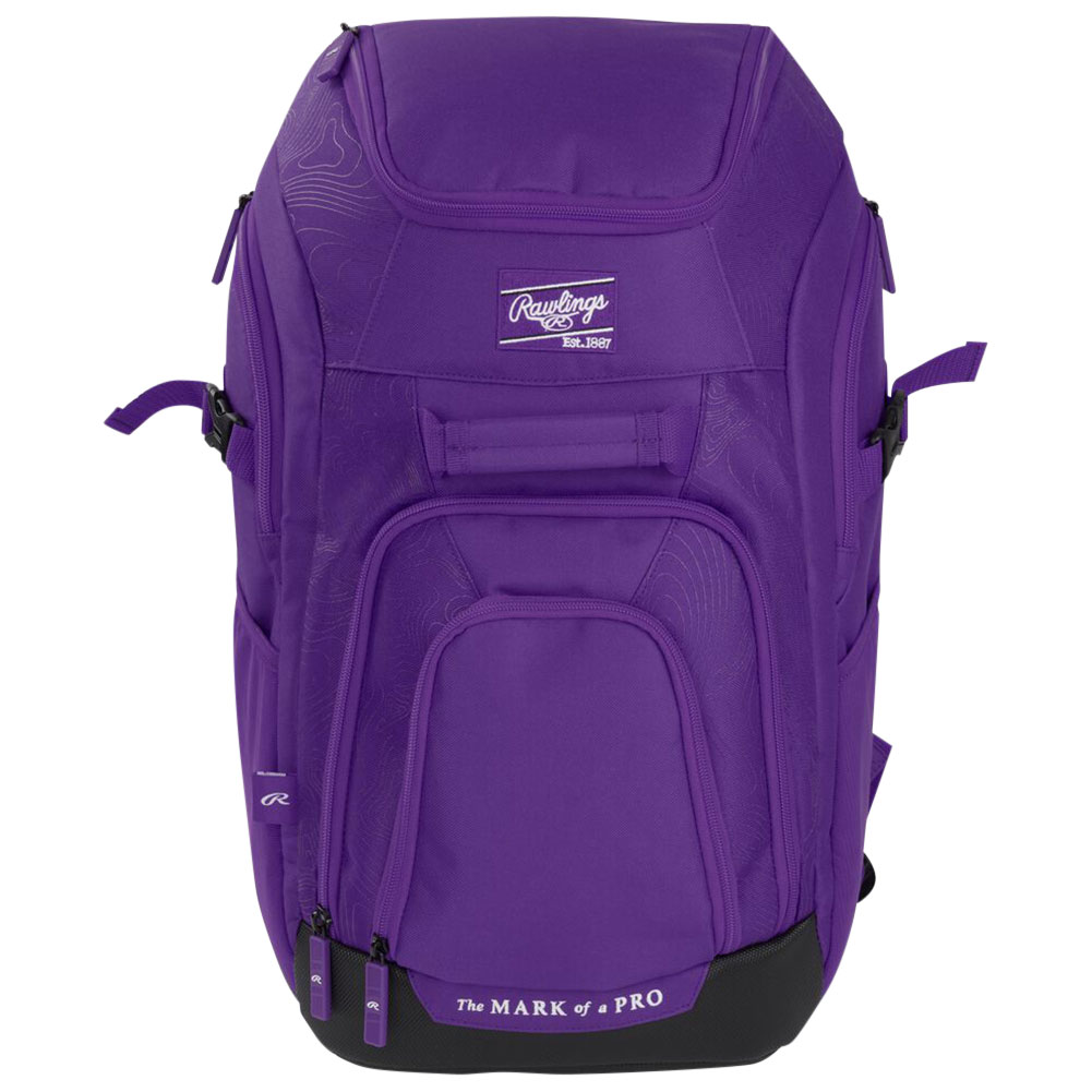 Rawlings Franchise 2 Series Bat Pack