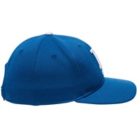 Outdoor Cap Co Youth Team MLB-350 Replica Baseball Caps, Los Angeles Dodgers