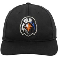 Outdoor Cap Co Team MiLB MIN-350 Baseball Caps, Durham Bulls