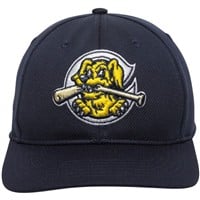 Outdoor Cap Co Team MiLB MIN-350 Baseball Caps, Charleston RiverDogs