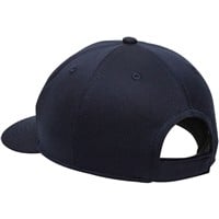 Outdoor Cap Co Team MiLB MIN-350 Baseball Caps, Charleston RiverDogs