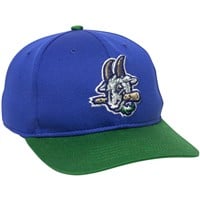 Outdoor Cap Co Team MiLB MIN-350 Baseball Caps, Hartford Yard Goats