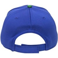 Outdoor Cap Co Team MiLB MIN-350 Baseball Caps, Hartford Yard Goats