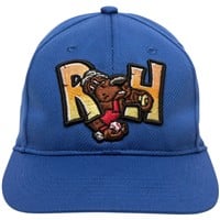 Outdoor Cap Co Team MiLB MIN-350 Baseball Caps, Durham Bulls