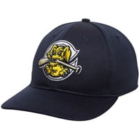 Outdoor Cap Co Team MiLB MIN-350 Baseball Caps, Charleston RiverDogs
