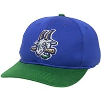 Outdoor Cap Co Team MiLB MIN-350 Baseball Caps, Hartford Yard Goats