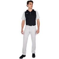 Mizuno Men's Prospect Baseball Pant, Grey