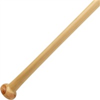 Mizuno Pro Fungo Bat, 4-z