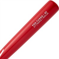 Mizuno Pro Fungo Bat, 3-z