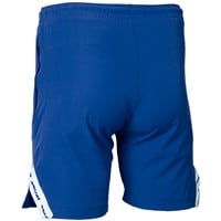 Rawlings Men's Color Sync Technical Baseball Training Short, Royal