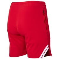 Rawlings Men's Color Sync Technical Baseball Training Short, Scarlet