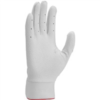 NIKE Adult Alpha Elite Batting Gloves, White/Silver