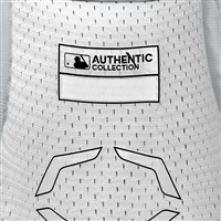 Evoshield PRO-SRZ 2.0 Batter Elbow Guard, Grey