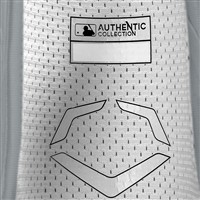 Evoshield PRO-SRZ 2.0 Batter Double Strap Elbow Guard, Grey