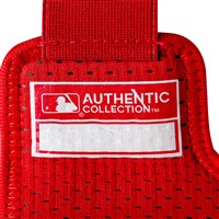 Evoshield PRO-SRZ 2.0 Batter Hand Guard, Scarlet