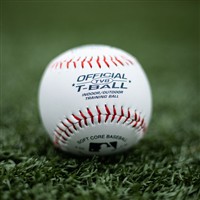 Rawlings Rubber TVB T-Ball, 4-z