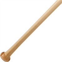 Mizuno Pro Softball Fungo Bat, 4-z