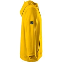 Evoshield Men's 365 Fleece Baseball Training Hoodie, Gold