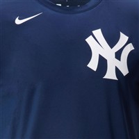 NIKE Men's MLB Crew Neck Performance Baseball T-Shirt, New York Yankees