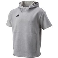 adidas Men's Dugout Short Sleeve Baseball Training Hoodie, Grey