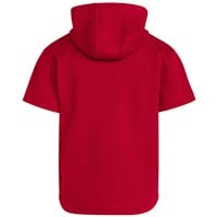 adidas Men's Dugout Short Sleeve Baseball Training Hoodie, Red