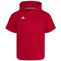 adidas Men's Dugout Short Sleeve Baseball Training Hoodie, Red