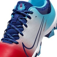 NIKE Youth Hyperdiamond 4 Keystone Molded Cleats, Red/Blue