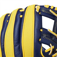 Wilson A200 EZ Catch Bananas 10in Baseball Glove, Navy/Blue