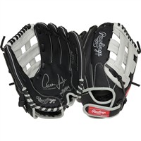 Rawlings Youth Sure Catch Aaron Judge 11in Baseball Glove, Black/Grey