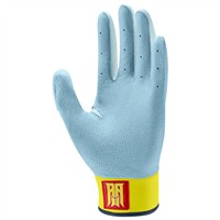 NIKE Limited Edition Acuna Alpha Varsity Batting Gloves, Blue/White