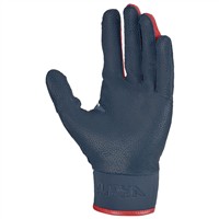 NIKE Limited Edition Energy Alpha Varsity Batting Gloves, Blue/Red