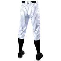 Evoshield Men's Salute Pinstripe Knicker Baseball Pants, White/Navy