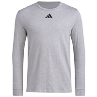 adidas Men's Long Sleeve Pregame Baseball Shirt, Grey