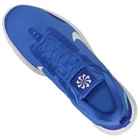 Nike Mens Flex Experience Run 12 Running Shoes, Blue/White