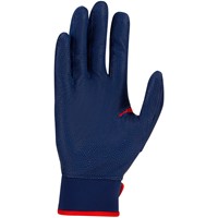 NIKE Adult Alpha Elite 2.0 Batting Gloves, Red/Blue