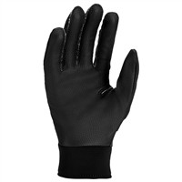 NIKE Youth Alpha 2.0 Batting Gloves, Black/Silver