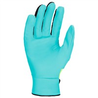 NIKE Youth Alpha 2.0 Batting Gloves, Green/Blue