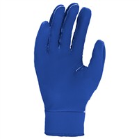 NIKE Youth Alpha 2.0 Batting Gloves, White/Royal