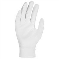 NIKE Youth Alpha 2.0 Batting Gloves, White/Silver