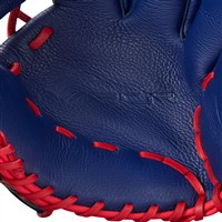 Nike Vapor 12IN Baseball Glove, Blue/Red