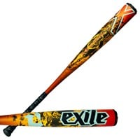 DeMarini 2026 Limited Edition Exile Rogue BBCOR Baseball Bat -3, 1-z