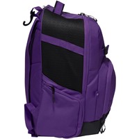Rawlings The Journey Players Bat Pack, Purple