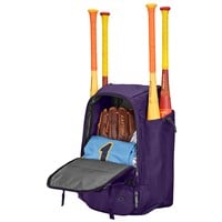 Easton Walk-Off Ethos Bat Pack, Purple