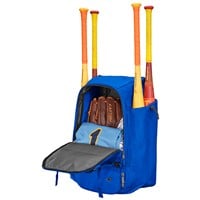 Easton Walk-Off Ethos Bat Pack, Royal