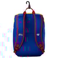 Louisville Slugger Limited Edition Backyard Baseball Pablo Sanchez Stick Pack, Navy/Yellow